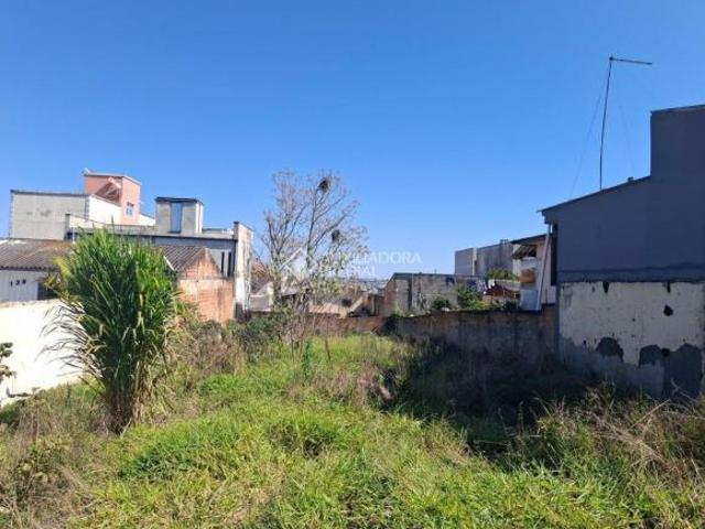 Terreno com 440 m² no Bairro Alto Boqueirão