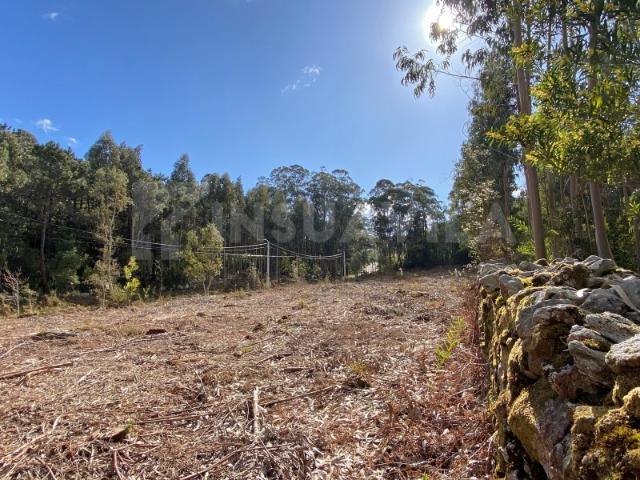 Terreno com 4451 m2 para construção