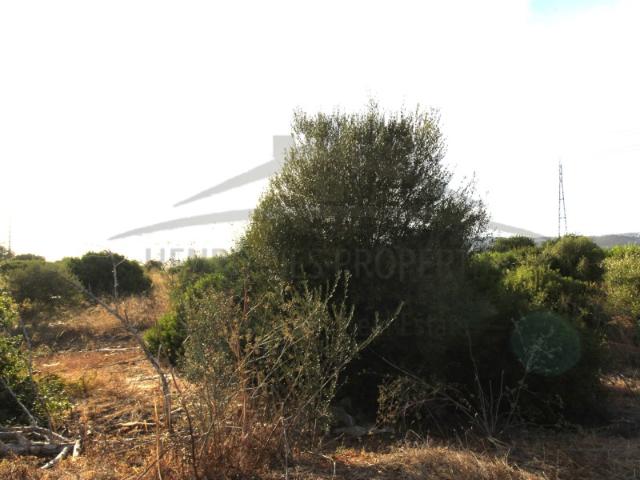 Terreno com 44.400 m² e área coberta de 248 m² Próximo de Faro