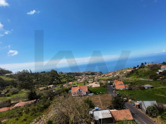 Terreno com 4562m2 vista mar na Ponta do Sol