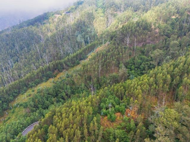Terreno com 470m2 no Monte | Funchal