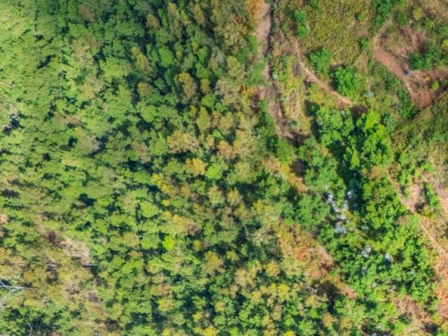Terreno com 4740m2 no Monte