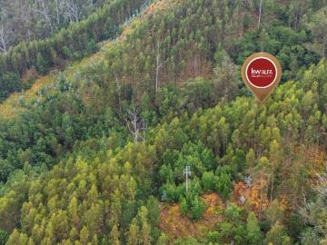 Terreno com 4740m2 no Monte