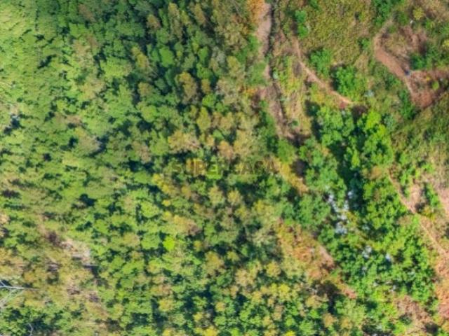 Terreno com 4740m2 no Monte