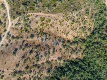 Alto Fica, Benafim, Loulé, Distrito de Faro, Algarve