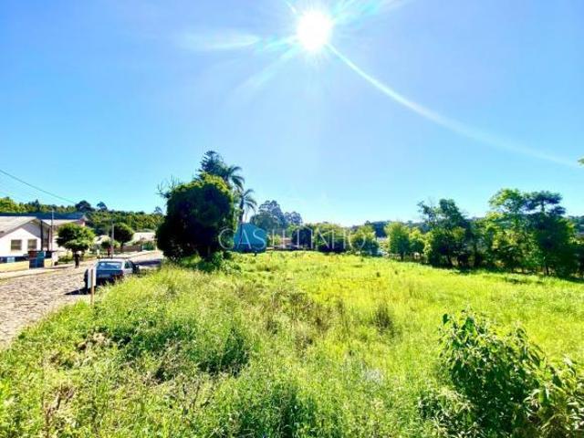 TERRENO COM 490,00M² TRÊS VENDAS
