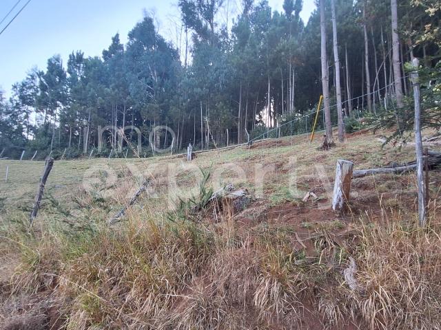 Terreno com 4940 m2 no sítio da Achada Rocha, Gaula, Madeira