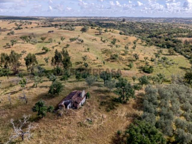 Terreno com 4 hectares na Serra de Grândola, Santiago do Cacém