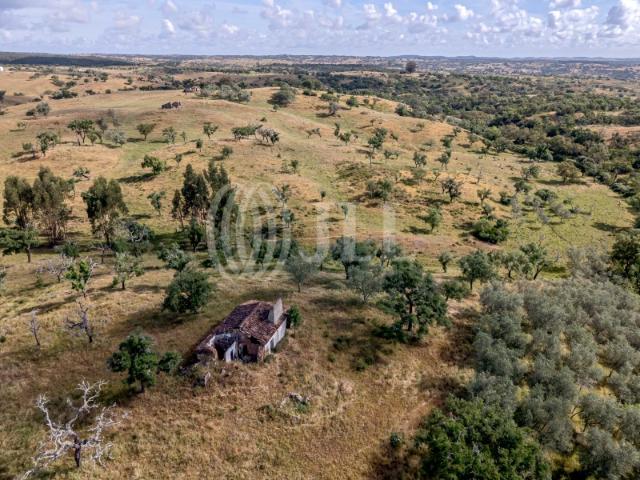 Terreno com 4 hectares na Serra de Grândola, Santiago do Cacém