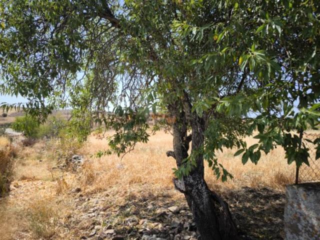 TERRENO COM 4.000 M2 PARA CONSTRUÇÃO NA ALDEIA DE TESOURO EM ALCOUTIM ALGARVE