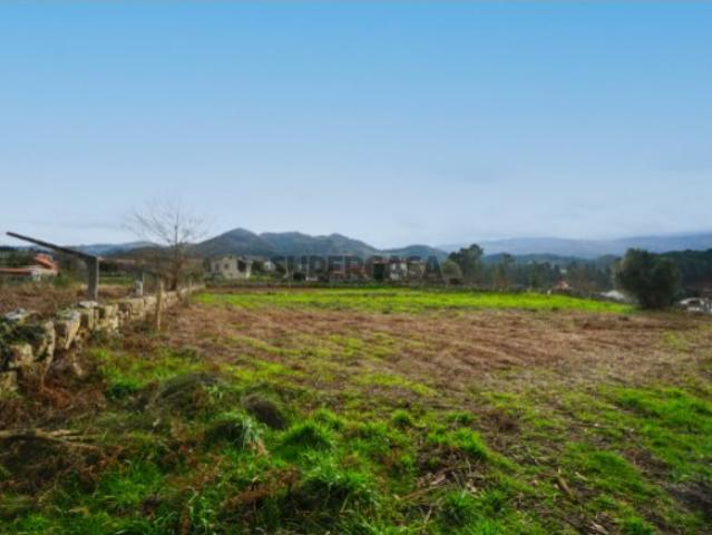 Terreno com 4.446 m², Excelente Exposição Solar e Vistas Desafogadas Oportunidade Única