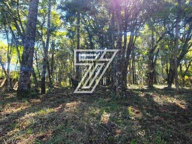 Terreno com 4.400m² no O Recanto I Piraquara/P