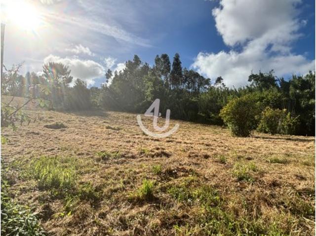 Terreno com 4.513 m² em Maiorga Vista Panorâmica e Excelente Potencial