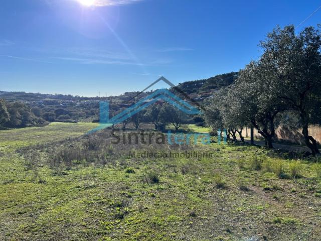 Terreno com 4.520 m² em Espaço Habitacional 2 Vale de Almornos, Sintra