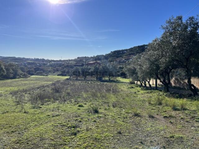Terreno com 4.520 m² em Espaço Habitacional 2 Vale de Almornos, Sintra