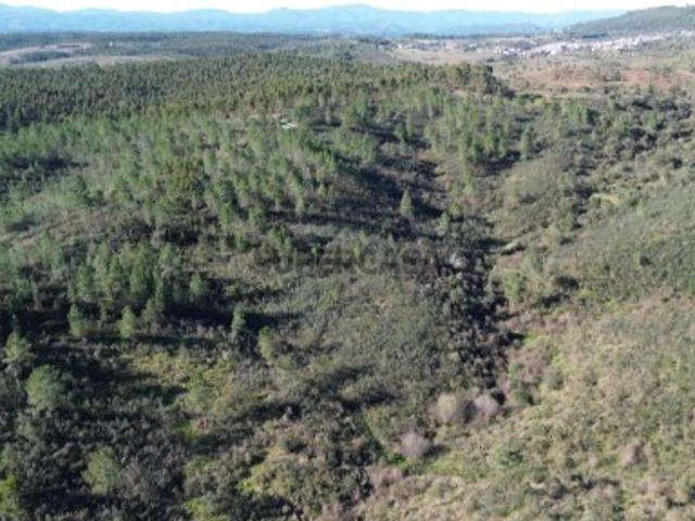 Terreno com 4,5 ha Palvarinho