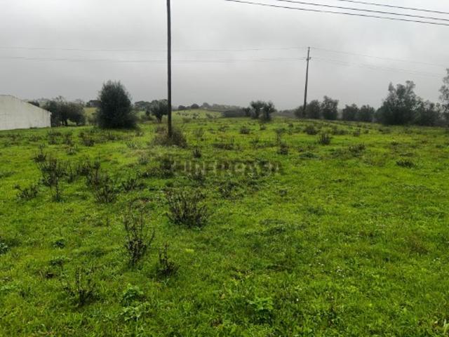 Terreno com 4.920 m² Fonte da Pedra | Santarém