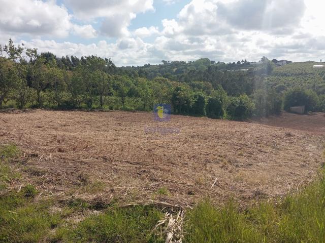 Terreno com 4.920m2, com PDM de Construção, em Zona Calma e com uma Excelente Exposição Solar!