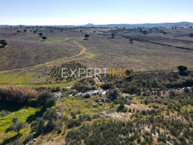 Terreno com 4,9 hectares Atravessado por Ribeira Santa Cruz Almodôvar