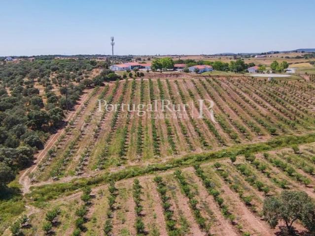 Terreno com 4ha com aptidão para construção de unidade de turismo