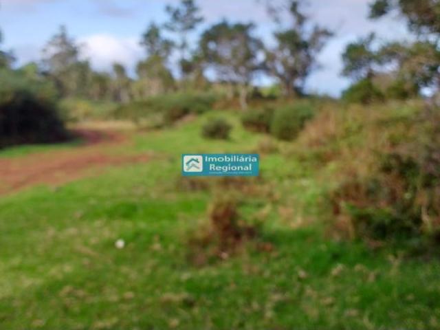 Terreno com 5000 m2, apto para agricultura situado em zona verde