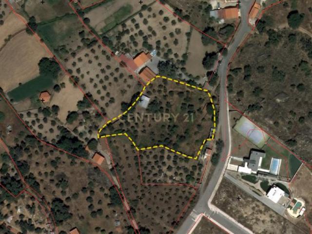 Terreno com 5000m2 com possibilidade de construção, Castelo Branco