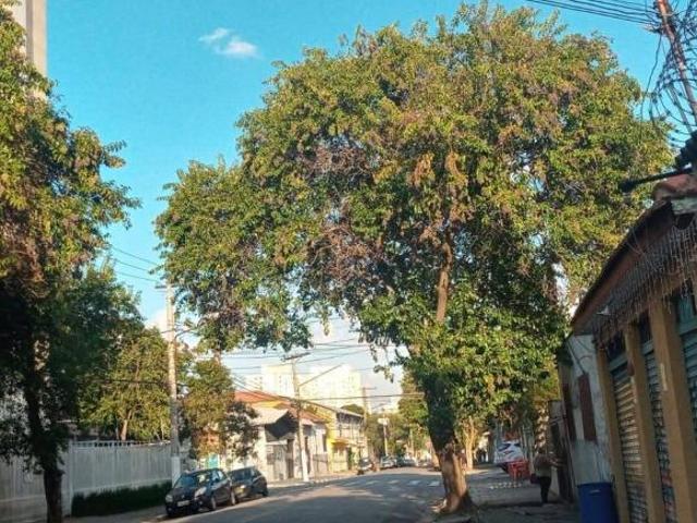 Terreno com 500m²com Casas antigas em Presidente Altino Osasco