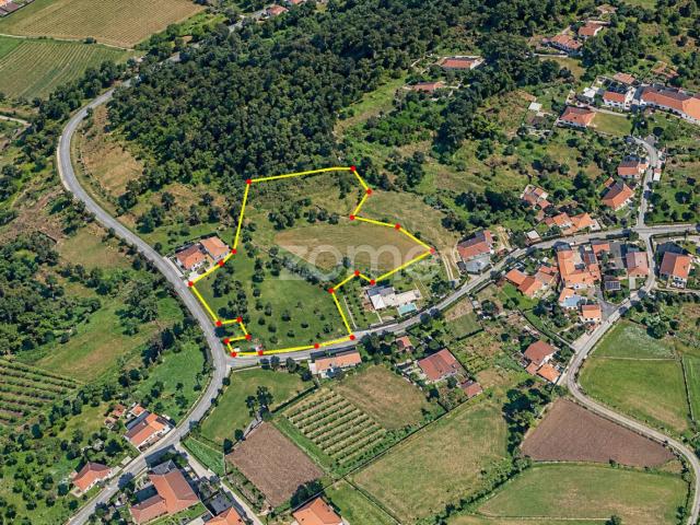 Terreno com 5021 M2 em Sande Vila Verde