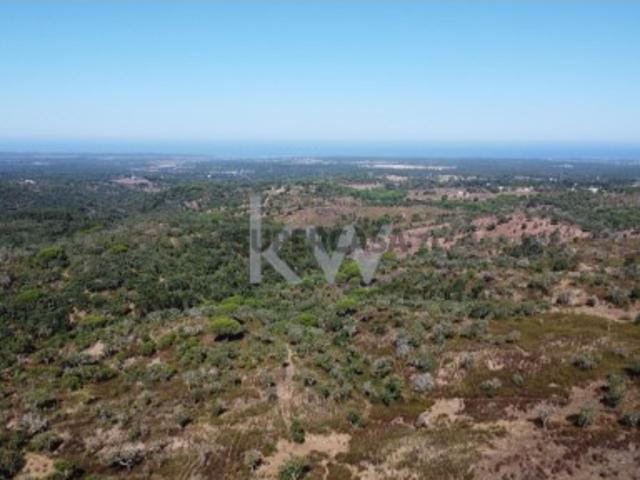 Terreno com 50 hectares, uma vista deslumbrante e inúmeras possibilidades