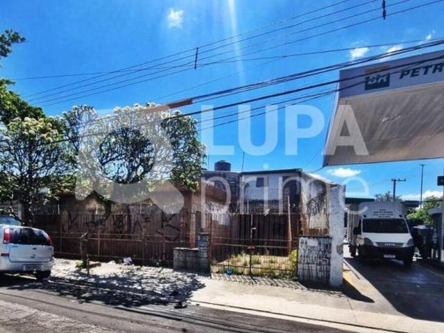 TERRENO COM 519M² À VENDA NO PARQUE NOVO MUNDO