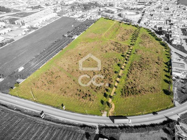 Terreno com 51.250 m2 para construção | Reguengos de Monsaraz
