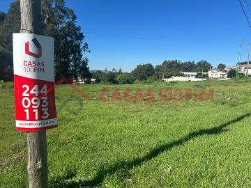 Terreno com 5404m2 para construção em Oliveira de Azemeis