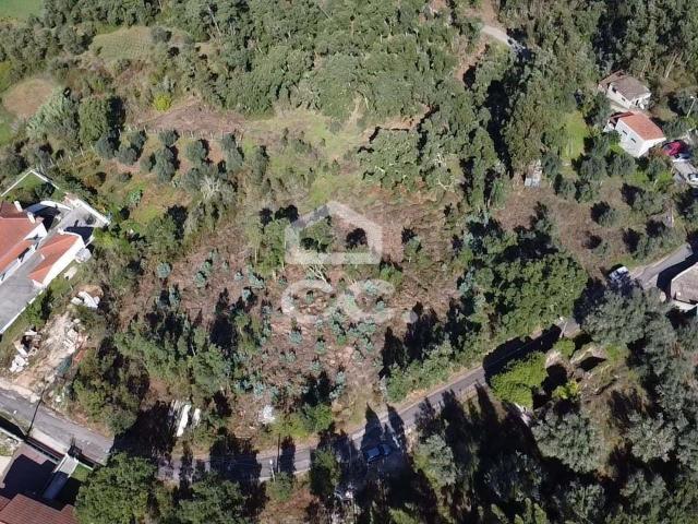 Terreno com 5400 m2 com viabilidade de construção, localizado junto à IC3, na freguesia da Cumeeira, Penela