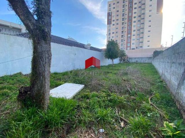 Terreno com 550m², à venda, no bairro São Pedro em São José dos Pinhais
