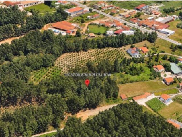 Terreno com 5560 m² no Juncal | Oportunidade de Investimento