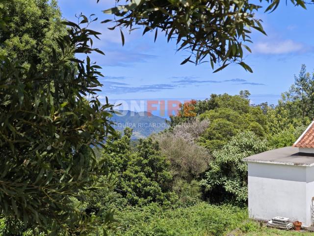 Terreno Com 5580m2 para venda em Santo António da Serra, Machico, Ilha da Madeira