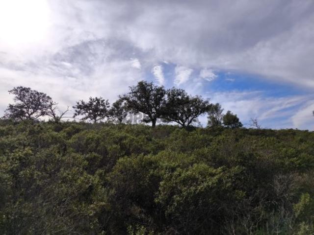 TERRENO COM 55.480 M² COM POSSIBILIDADE DE CONSTRUÇÃO HABITAÇÃO TURISMO RURAL ODELEITE CASTRO MARIM ALGARVE