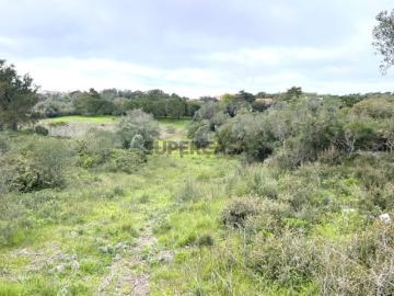 Terreno com 5600m2 para construção de moradia Azoia Sesimbra