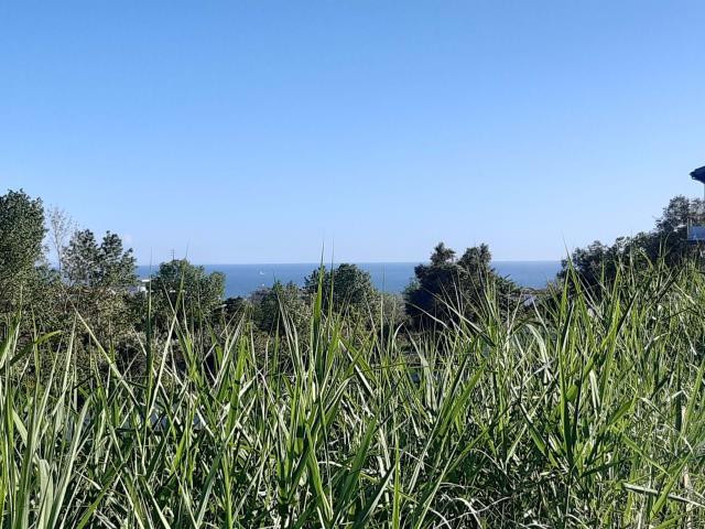 Terreno com 5800 m² a 1000 metros da praia e do centro de Buarcos