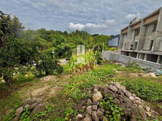 Terreno com 585 m² de área em ótima localização, com algumas árvores frutíferas