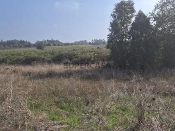 Terreno agrícola com 5870 m2 e forte potencial vitivinícola em São Lourenço do Bairro