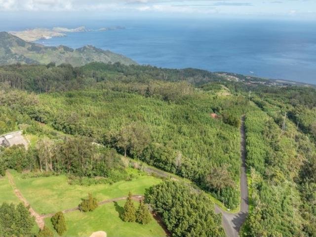 TERRENO com 58 960 m2 Água de Pena Machico | Junto ao Campo de Golfe