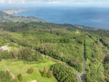 TERRENO com 58 960 m2 Água de Pena Machico | Junto ao Campo de Golfe