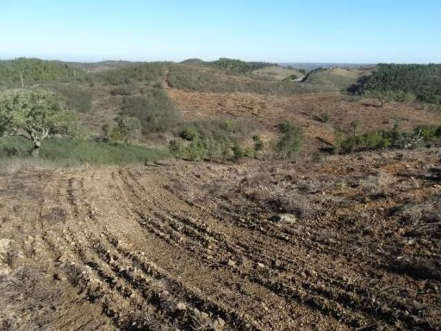 Terreno para fins agrícolas e florestais com 58.315 m2 Santana da Serra Ourique