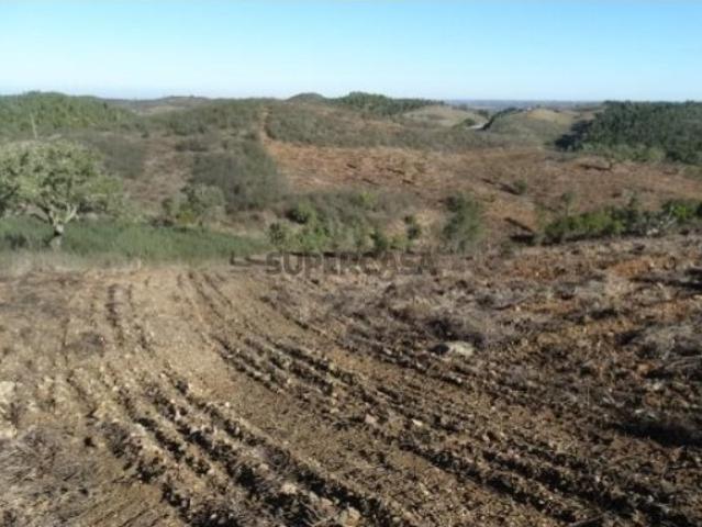 Terreno para fins agrícolas e florestais com 58.315 m2 Santana da Serra Ourique