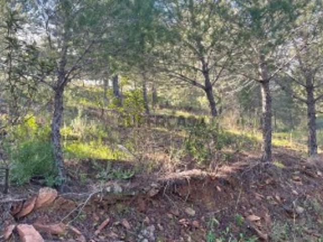 TERRENO COM 59.680 M² COM POSSIBILIDADE DE CONSTRUÇÃO HABITAÇÃO E/OU TURISMO PRÓXIMO A CORTE VELHA ODELEITE CASTRO MARIM ALGARVE