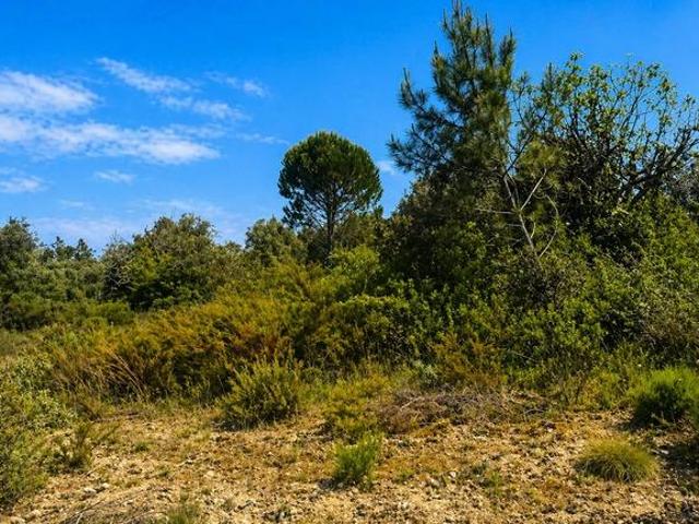 Terreno com 5.120 m2 em Curtinho – Fungalvaz Assentiz