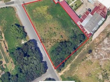 Terreno com 5 388m2 em Mozelos