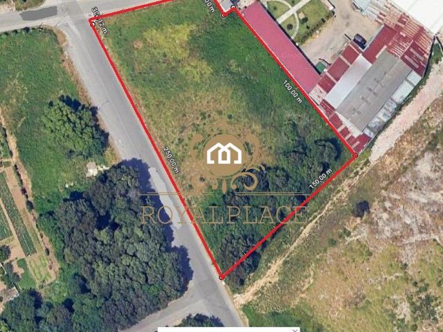 Terreno com 5 388m2 em Mozelos