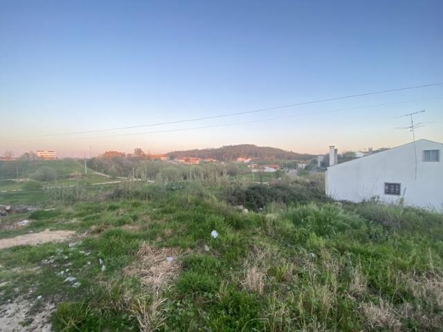 Terreno com 5.300 m² na Granja do Ulmeiro Excelente Oportunidade!